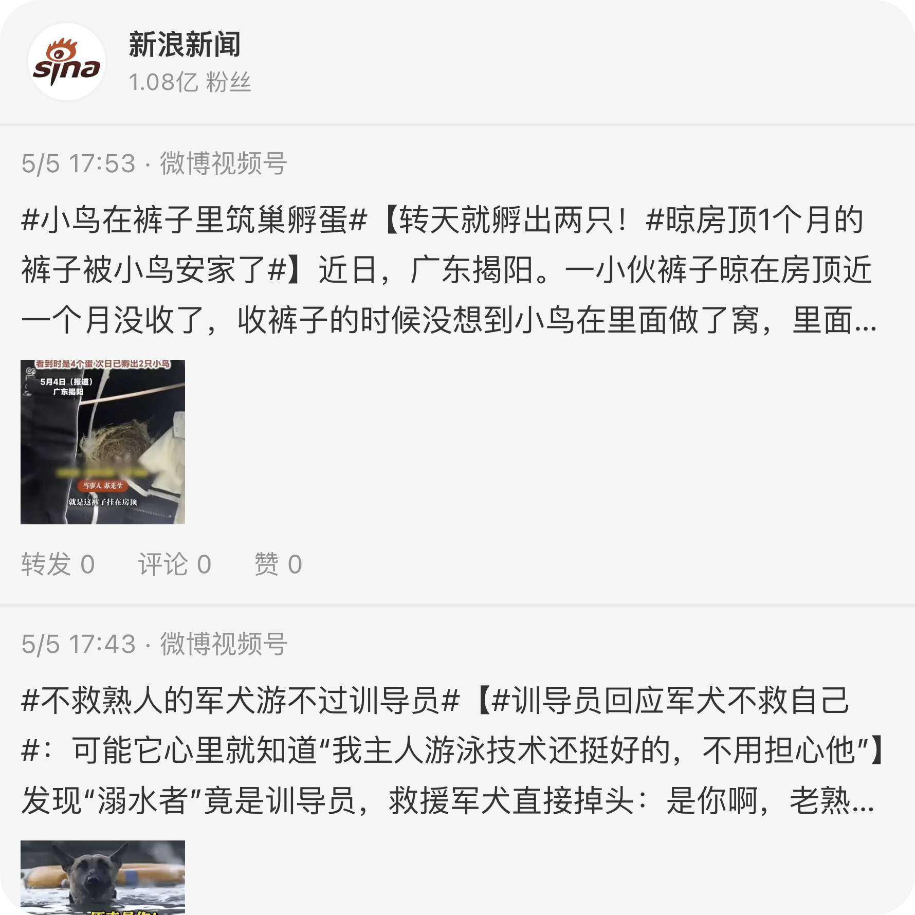 Weibo Profile Feed large preview